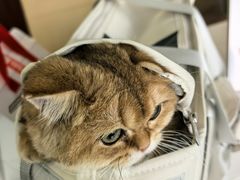 -美联众合24小时·皮肤科·外科·全科诊疗中心(华苑分院)