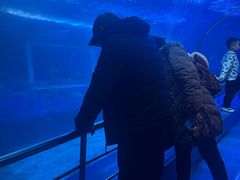 -太平洋海底世界