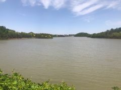 -塘沽森林公园