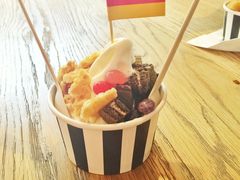 -JW德国冻酸奶Frozen Yogurt(龙湖成都滨江天街店)