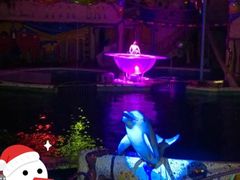 -大连圣亚海洋世界