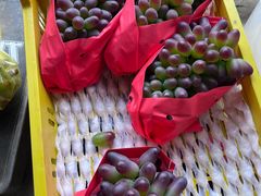 -马陆小张葡萄园农家乐