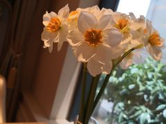 -锦粤宫·融合粤菜(上海金沙江店)