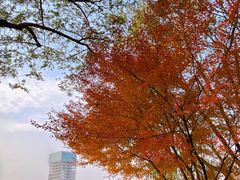 -杭州城北体育公园