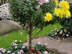 -共青国家森林公园-售票处