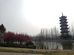 -桃花岛公园
