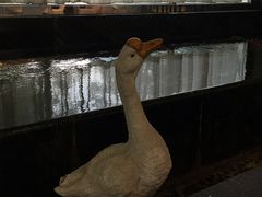 -眉州东坡(通州店)