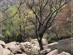 -黑龙潭风景区
