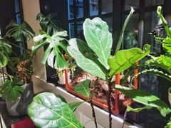 -一尺花园(安和花园店)