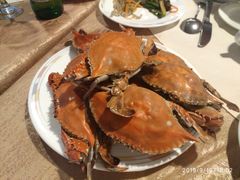 -汇泉王朝大饭店-旋转餐厅(南海路店)