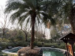 -苏州湾·王焰温泉