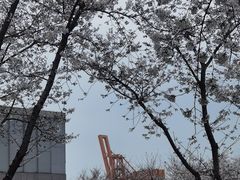 -龙美术馆(西岸馆)