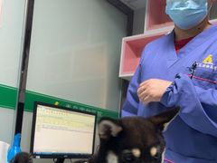-半岛宠物医院24小时(科华中路店)