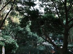 -成都市活水公园
