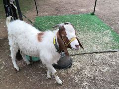 -宝岩生态观光园