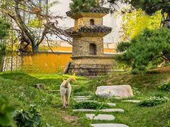 -龙华寺