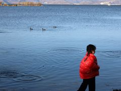 -洱海月湿地公园