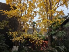 -自贡市盐业历史博物馆