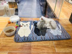 -狗道宠物(常熟印象城店)