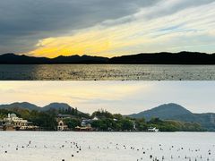 -杭州君悦酒店·青莳