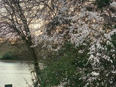 -海德公园