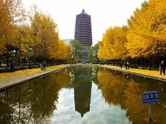 -玲珑塔公园