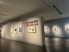 -四川美术馆