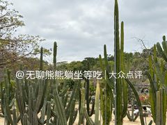 -东莞植物园