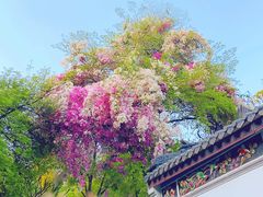-深圳国际园林花卉博览园