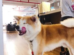 -YCHL Studios健身工作室(市二宫店)