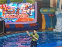 -海合安武汉极地海洋公园
