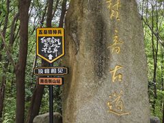 -南岳衡山风景名胜区