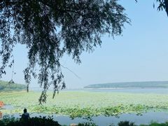 -丁香湖公园