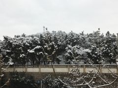 -贮水山儿童公园