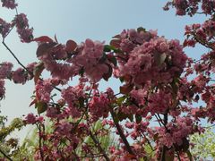 -元大都城垣遗址公园