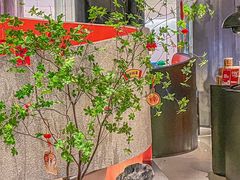 -新兴·金羊座·粤菜点心(乐峰店)