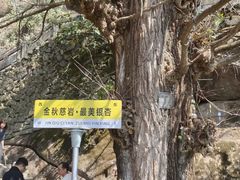 -大慈岩风景区