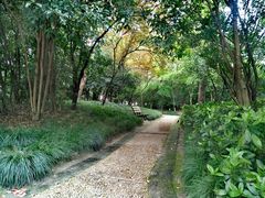 -上海市龙华烈士陵园