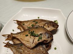 -洲晓鲜·舟山海鲜大排档(朱家尖风景区店)