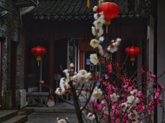 -檀园