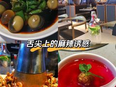 -老佛爷铜炉蛙锅(东门老街店)