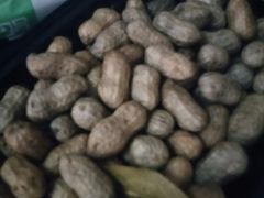 -红满天烧烤(怡馨家园店)