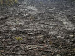 -雁荡山大龙湫景区