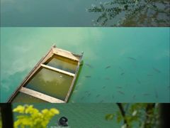 -广州白江湖森林公园