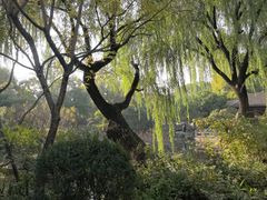 -秋霞圃