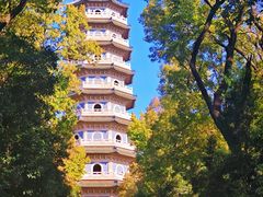 -灵谷景区