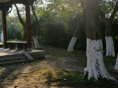 -沙市市中山公园