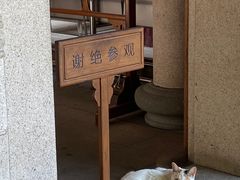 -南普陀素菜馆