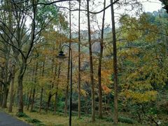 -天明山温泉大酒店