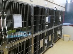 -创凡宠物医院·骨专科  猫科中心(西乡分院)